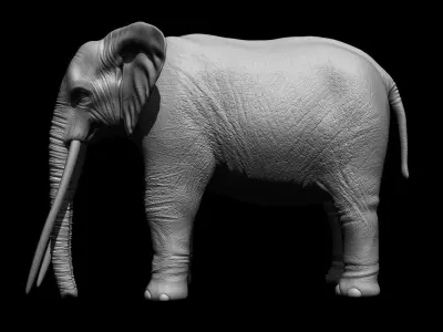 Realistic Elephant 3D model