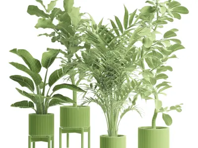Indoor Plants Pack 83 3D model