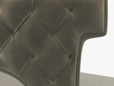 Brabbu KANSAS 3D model