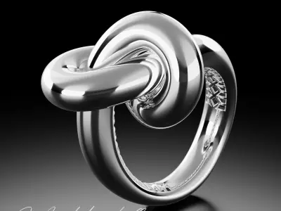 Golden Knot 3D print model