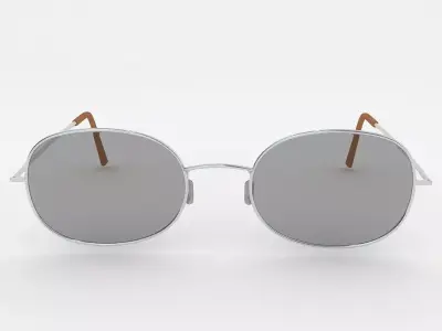 Glasses silver 3D model
