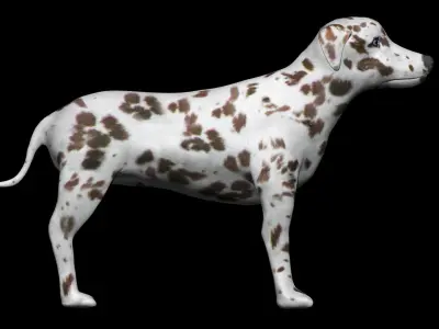 Brown Dalmatian Dog Low-poly 3D model