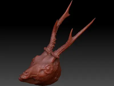 Skinned Deers Head High Detail Scan With Texture 3D model 3D model