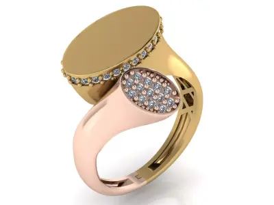 Luxury 2 piece women jewelry ring 3D print model