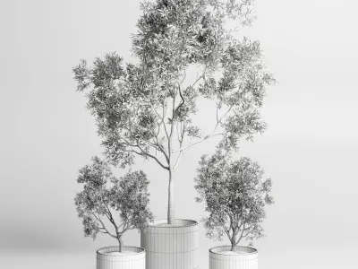 Collection Indoor plant 60 vase handmade pottery plant tree pot 3D model