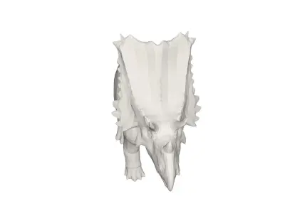 Dinosaur triceratops 3D model buy