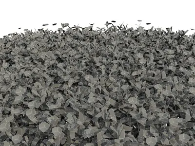 Cuphea Hookeriana Carthagenensis Decorative02 3D model