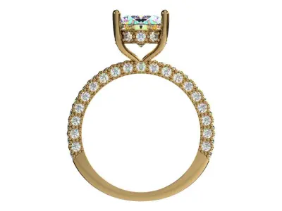 Ring 0257 3D print model