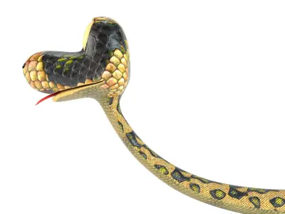 Cartoon Snake Low-poly 3D model Low-poly 3D model