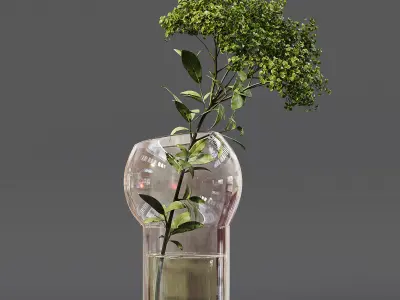 Collection Indoor Plants 06 3D model