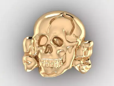 Skull 14 3D print model