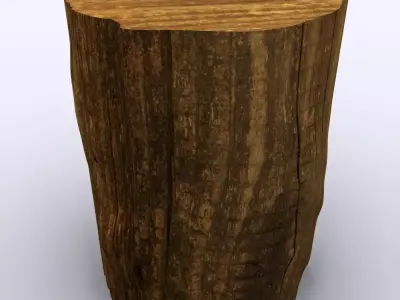 Tree Stump 3D Model 3D model