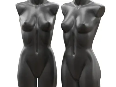 Female demonstration mannequin 3D model