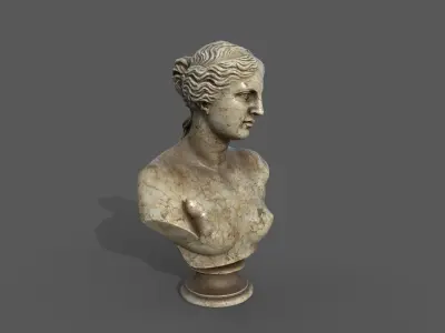 Bust of  Venus Low-poly 3D model