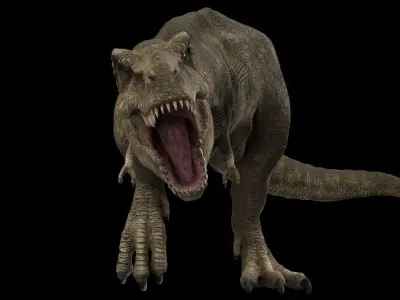 Tyrannosaurus rex 3D model