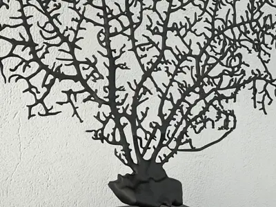 Black Gorgonaria Decoration 3D model