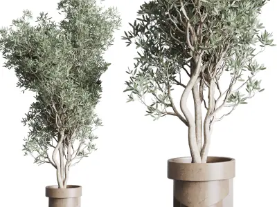 Collection indoor plant 265 plant tree bush vase concrete vase 3D model