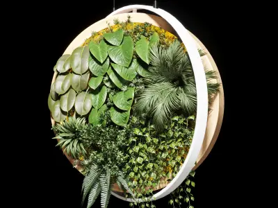 hanging garden and hanging moss in wooden frame 218 3D model