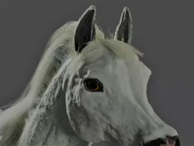 Horse with Mane RIGGED Model 3D model