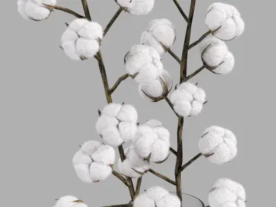  cotton bouquet   3D model