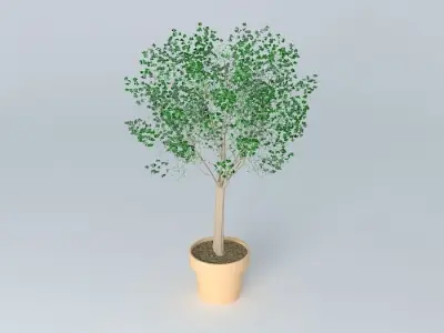 Terracotta vase with tree Free 3D model