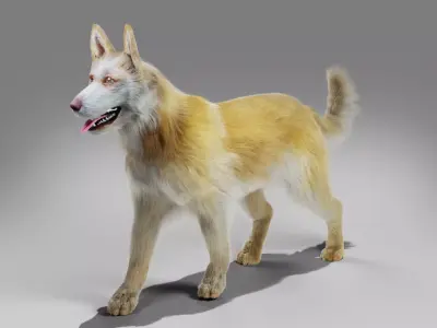 Fur Big Dog Yellow  No Rigged Low-poly 3D model