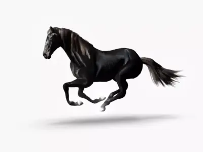 Realistic Black Horse 3D Model Low-poly 3D model