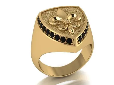 Lily Ring  3D print model