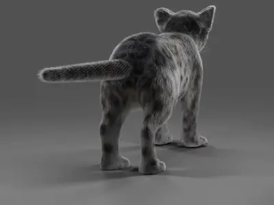 Fur Baby Snow Leopard No Rigged  Low-poly 3D model
