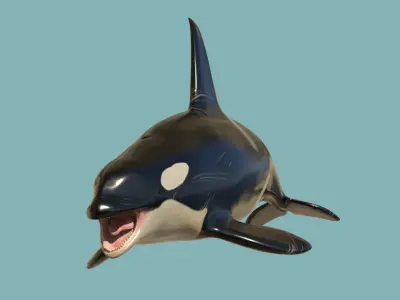 Killer whale Low-poly 3D model