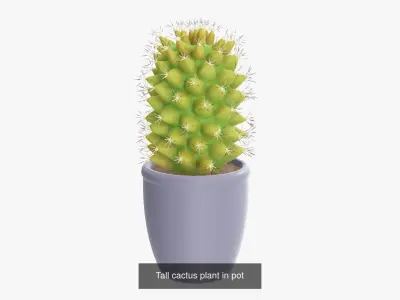 PBR Potted Plants Vol1 3D Model Collection
