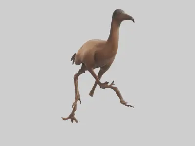 Nandu Rhea running model Low-poly 3D model