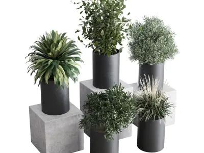 Small plants pot  indoor plant set 280 3D model