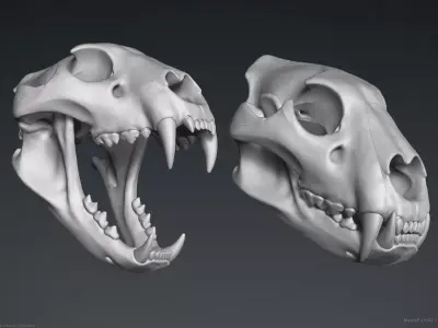 3D Lion Skull - Sculpture 3D model