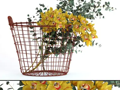 Plants in basket 3D model
