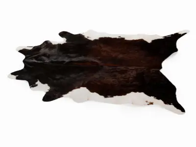 Brown And White Cowhide Rug 3D model