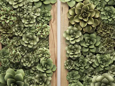 Echeveria Vertical garden 52 3D model