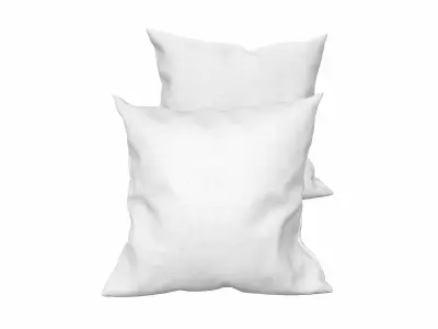 Solid Pillows - set of 2 3D model