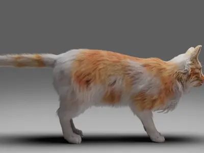 Fur Calico Cat V02 No Rigged Low-poly 3D model
