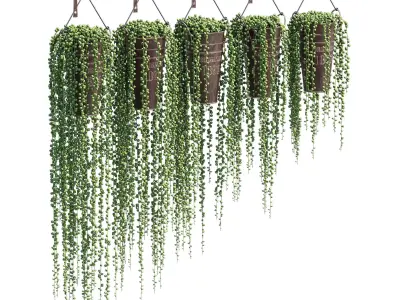 Mont pleasant 3D model