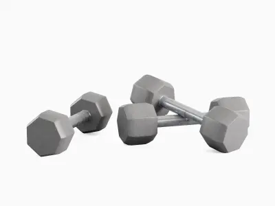 Steel Dumbbell 02 Low-poly 3D model