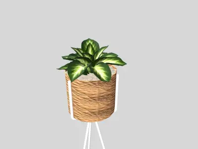 HOME DECOR Flower Basket Low-poly 3D model