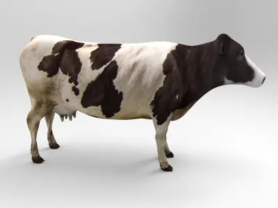 Cow Rigged cattle game ready low poly Low-poly 3D model