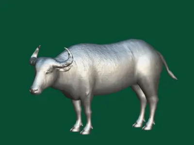 Asian Water Buffalo Animals 3D model