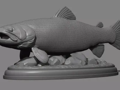 Brown trout fish on the base 3D print model