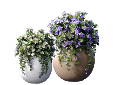 Flowerbeds Petunia flowers in classic garden pots 3D model