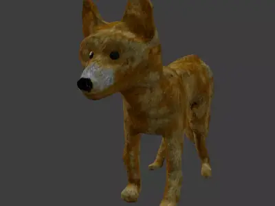Coyote Puppy 3D model