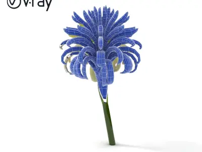 Elegant Flower Bloom Sculpture model pack Low-poly 3D model