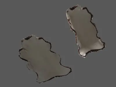 Brown sheep skin pelt fur Low-poly 3D model