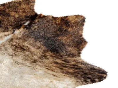 Animal skin rug 05 3D model